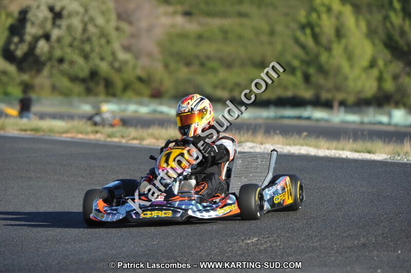 DSC (2226).JPG